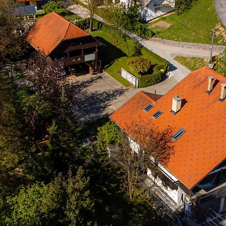 Resort Pod Orehi - Apartma & Glamping Bled Exterior foto